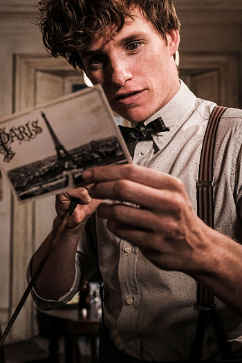 Eddie Redmayne, Newt Scamander, Autism spectrum HD phone wallpaper