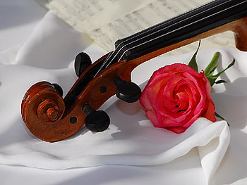 A song of Love, rose, music love, violin, red HD wallpaper