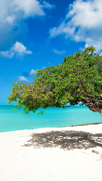 Aruba Island, Astonishing beauty, Paradise found, Unforgettable moments HD phone wallpaper