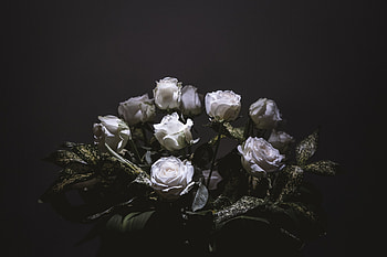 White roses, bouquet, portrait HD wallpaper