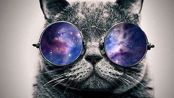 Glasses, Galaxy Cat HD wallpaper