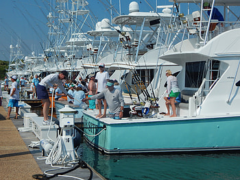 Tournament Time, North Carolina, Fishing, Sport Fish Boats, Power Boats HD wallpaper