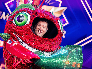 The Masked Singer ProSieben, Controversial moment, Viewers upset, Decisive phase HD wallpaper