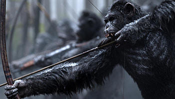 War for the Planet of the Apes (2022) movie HD wallpaper