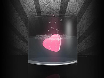 loveable heart, happy, joy, water, love HD wallpaper