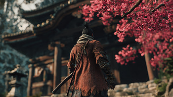 Sekiro - Lone Warrior Beneath Cherry Blossoms, video game, Sekiro: Shadows Die Twice, Sekiro (Character), cherry blossom, FromSoftware HD wallpaper