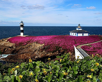 Beauty Galicia, Spain, spain, sea, lighthouse, sky, nature, grass, galicia HD wallpaper