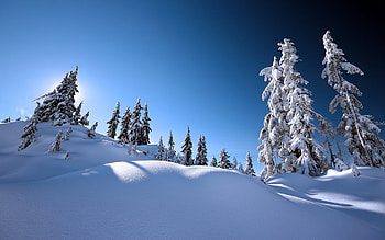 Landscape, Winter HD wallpaper