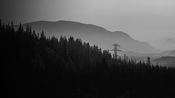 Black white HD wallpaper