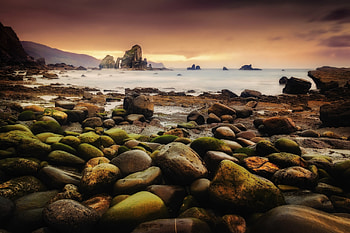 Coast, rocks, moss, sea, sunset HD wallpaper