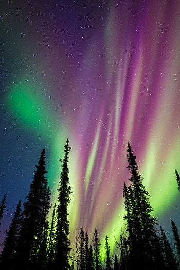 Aurora Borealis, Alaskan wonders, Captivating , Nature's marvels HD phone wallpaper