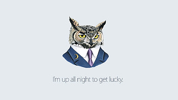 Art, Owl, Vector, Inspiration HD wallpaper
