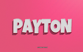 Payton, pink lines background, with names, Payton name, female names, Payton greeting card, line art, with Payton name HD wallpaper