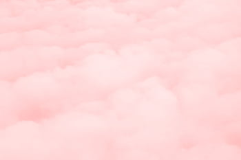 A serene and soft pastel pink cloud background perfect for aesthetics and design. HD wallpaper