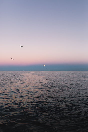 Calm ocean scene in Norfolk, VA at dusk with moonrise and serene pastel sky. HD phone wallpaper