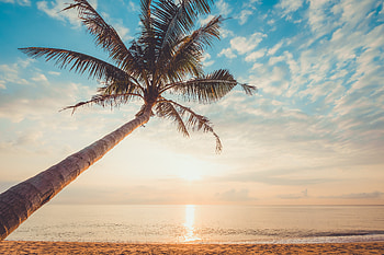 Tropical-Sunset, Tropical, Nature, Sunset HD wallpaper