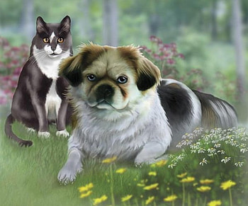By Barbara Hymer * Gizmo & Sneakers, dog, kitten, animal, art, barbara hymer, cat, puppy, painting, flower, friend HD wallpaper