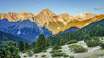 Some of the highest continuous pine forests in Europe - Val Mingèr, Swiss National Park, trees, landscape, alps, mountains, sky HD wallpaper