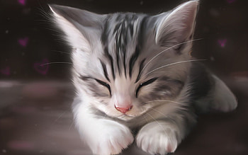 Animals, Cats HD wallpaper
