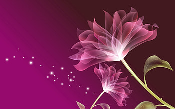 Abstract, Smoke, Flower, Clover, Shroud HD wallpaper