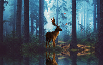 Deer, blue, animal, horns, woods, butterfly, fantasy, cerb, luminos, forest HD wallpaper