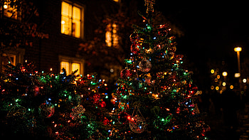 Colorful Christmas, Christmas Tree, Christmas Ornaments, Christmas Lights HD wallpaper