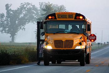 morning run, field, road, grass, school, bus HD wallpaper
