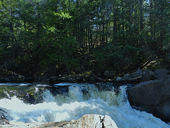 Waterfalls At Gut Gorge, Gut Gorge, Waterfalls, graphy, Trees, Nature, Apsley Ontario HD wallpaper