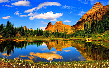 Summer in the Mountains, wildflowers, clouds, trees, sky, reflections, lake HD wallpaper