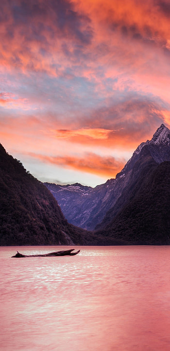 Milford Sound, Backgrounds, Top , Explore HD phone wallpaper