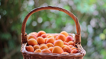 Basket apricots, 23844 HD wallpaper