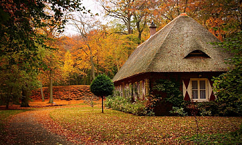 japan house, house, trees, colors, nature, forest, beauty HD wallpaper