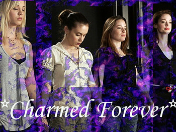Charmed, rose mcgowan, alyssa milano, holly marie combs HD wallpaper