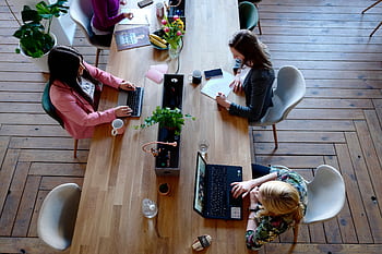 Overhead view of diverse women professionals working in a modern office setting, fostering collaboration and teamwork. HD wallpaper