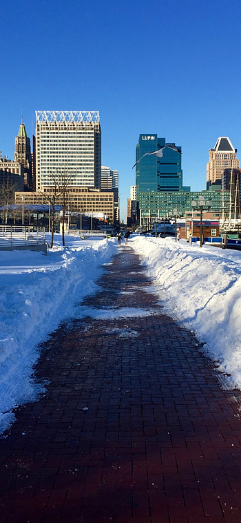 Baltimore travels, Latest HD phone wallpaper