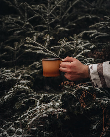 Snow, Hand, Miscellanea, Miscellaneous, Cup, Branches, Fir, Spruce, Mug HD phone wallpaper