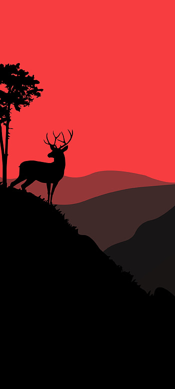 Sunset deer, sky HD phone wallpaper