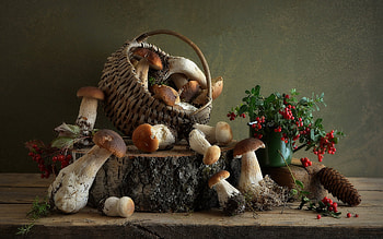 Still Life Mushrooms, basket, berries, still life, mushrooms HD wallpaper
