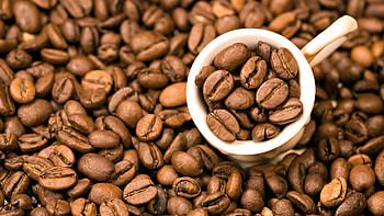 Coffee beans , 42413 px, Coffee beans HD wallpaper