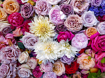 Flowers, Roses, Multicolored, Motley, Bouquet, Dahlias, Composition HD wallpaper