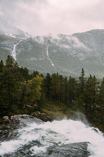 Nature, Rivers, Trees, Mountains, Waterfall, Fir, Spruce HD phone wallpaper