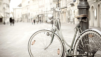 Vintage bike elegance, Stunning background, Retro and stylish HD wallpaper