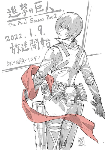 Mikasa, snk, ackerman, attack on titan, Shingeki no Kyojin, anime HD phone wallpaper