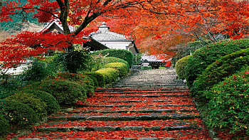 Japan Landscapes | Wallpoper HD wallpaper