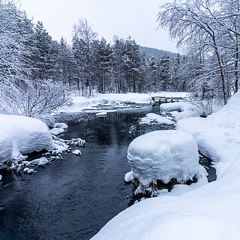 Nature, Rivers, Snow, Forest, Bridge HD phone wallpaper