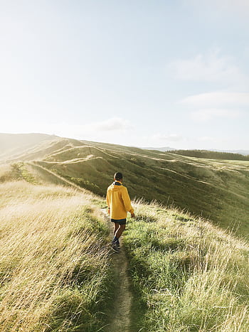 A man in a yellow jacket hikes along a grassy hill during a bright sunny day, capturing adventure and nature. HD phone wallpaper