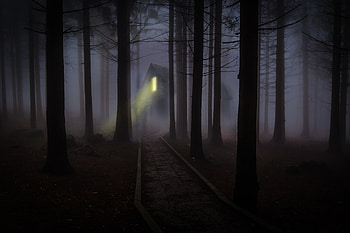 House Forest Fog Woods Trees, house, trees, fog, nature HD wallpaper