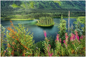 Summer view, island, summer flowers, art , fullcolours, beautiful, small, lake HD wallpaper