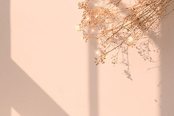 Beige sparkle dried flower background. / Ning in 2021. Pink , Pink laptop, Aesthetic, Brown Flower HD wallpaper
