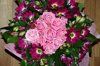 Flowers, Roses, Typography, Registration, Bouquet, Composition HD wallpaper